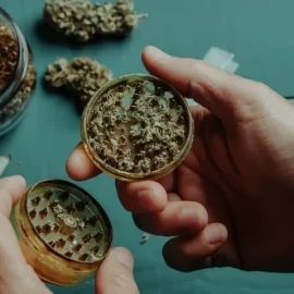 man-has-shredded-cannabis-bud-used